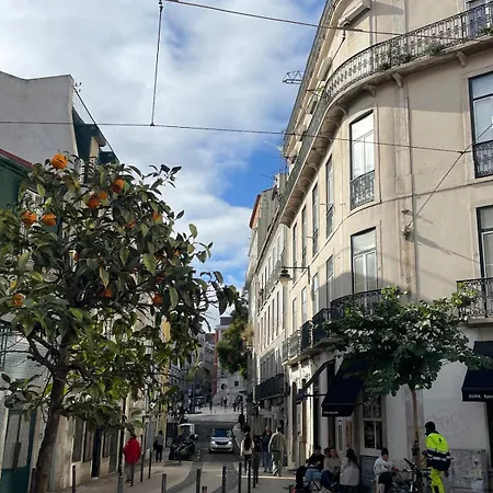 Accogliente Con Terrazzo In Centro Апартаменты *