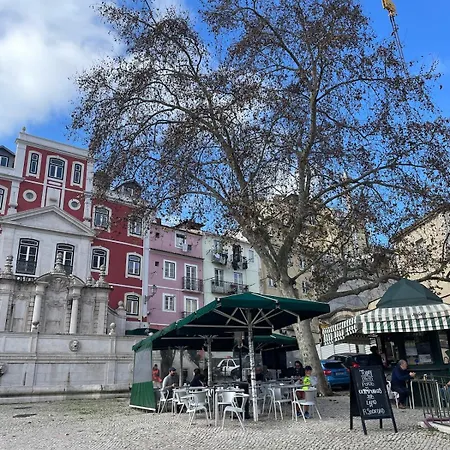 Апартаменты Accogliente Con Terrazzo In Centro *